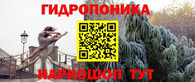 прущие грибы Краснодар