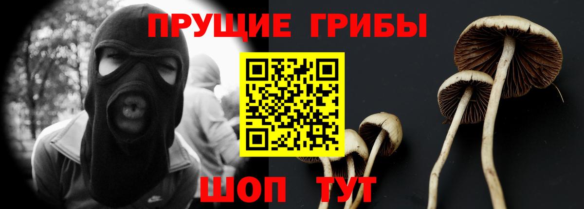Коммунар  Галлюциногенные грибы мицелий  Вход с VPN  Псилоцибиновые грибы Cubensis 